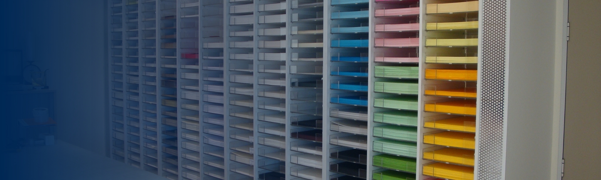 Order Paper Samples BJ Ball NZ