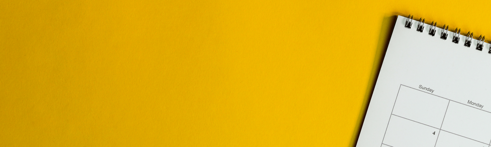 Whats on at BJ Ball NZ